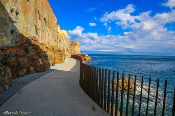 Appartement Climatise,Idealement Situe 100M Du Vieux Port. バスティア エクステリア 写真